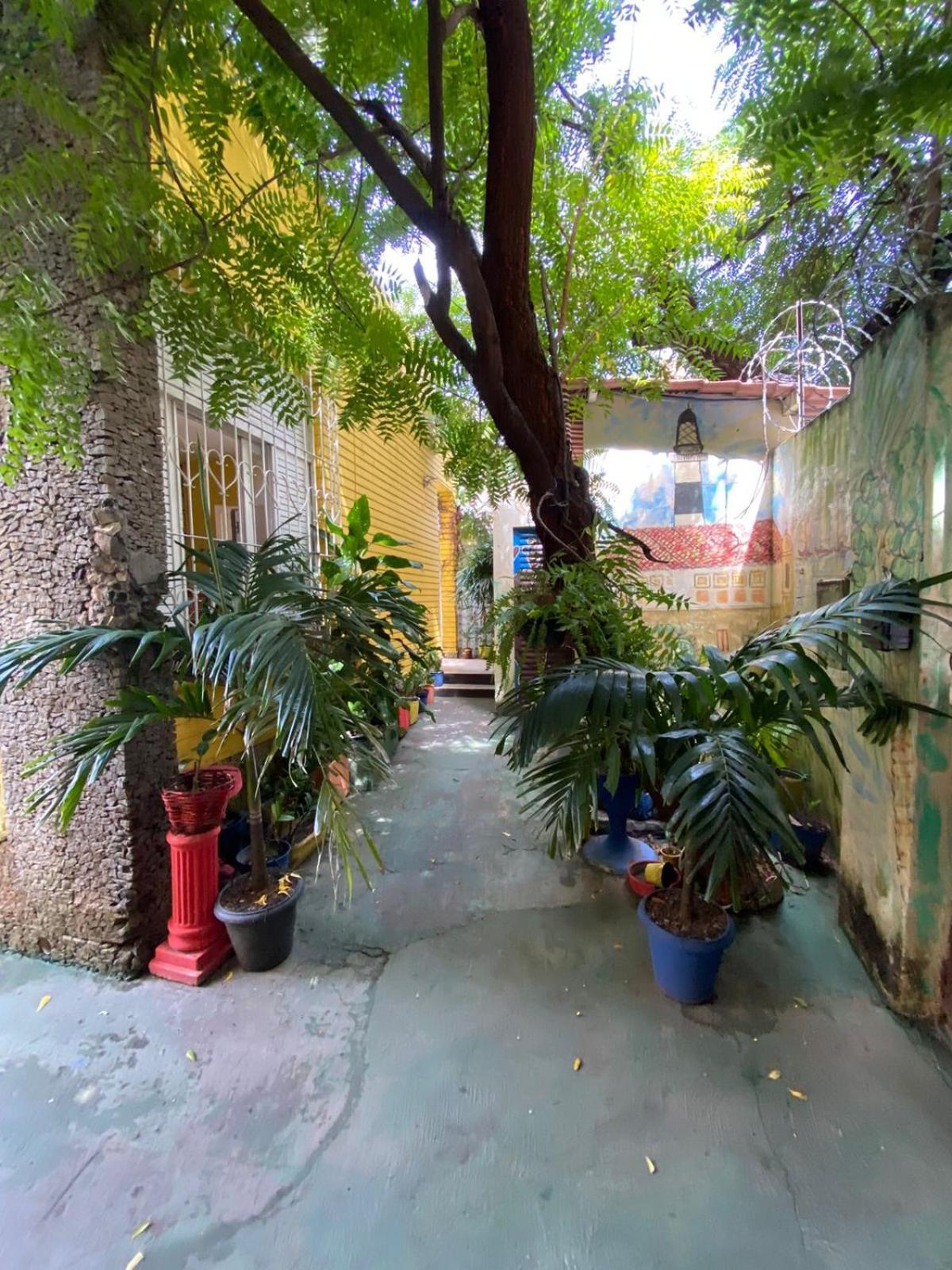 Hostel Sol Da Barra Salvador Exterior photo
